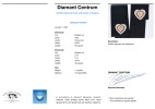 foto 1 Oorbellen diamant