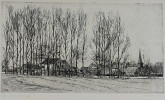 foto 1 Ed Noyons