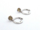 foto 5 Oorbellen diamant