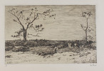 foto 1 Zwart, Willem de (1872-1931)