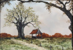 foto 1 Luiten, Ans