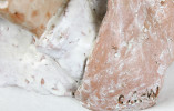 foto 4 Kunstenaar onbekend